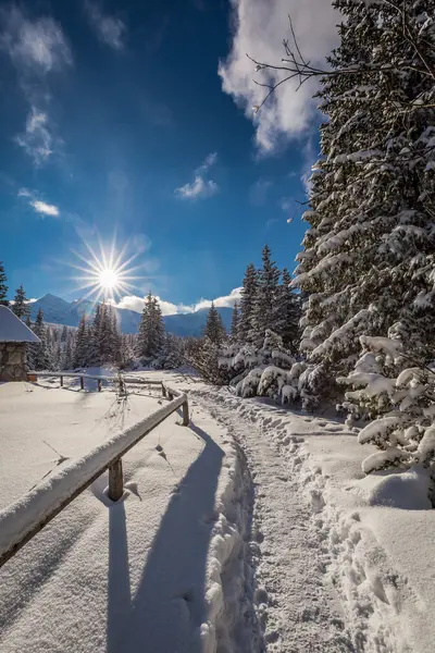 Sendero de invierno a la cabaña de montaña, montañas Tatra, Polonia — Foto de Stock