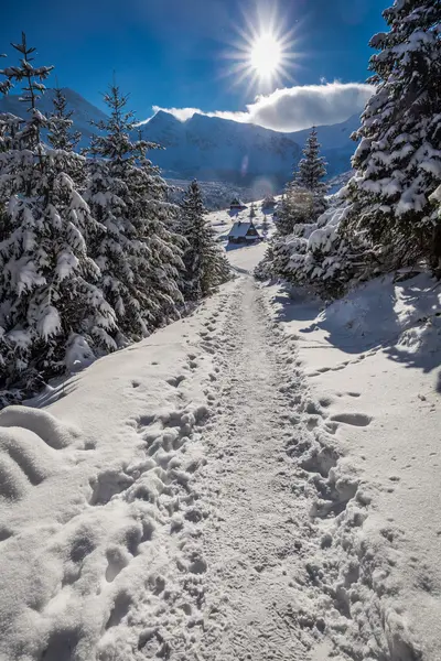 Sendero de invierno al valle gasienicowej al atardecer, Tatra, Polonia — Foto de Stock