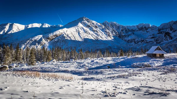 Enjoy your winter time in cold mountains, Tatras, Poland — Stock Photo, Image