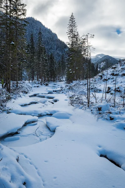 Rio de montanha congelado nas Montanhas Tatra, Polónia — Fotografia de Stock