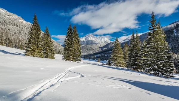 Valle de Chocholowska en invierno al amanecer, Montañas Tatra, Polonia — Foto de Stock