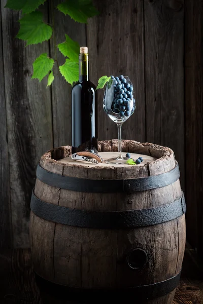 Rotwein und Trauben im Glas — Stockfoto