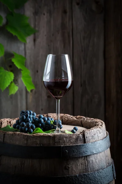 Frischer Rotwein im Fass mit Trauben — Stockfoto