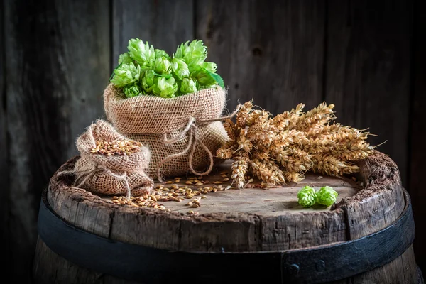 Ingredients for light beer with wheat and hops — Stock Photo, Image