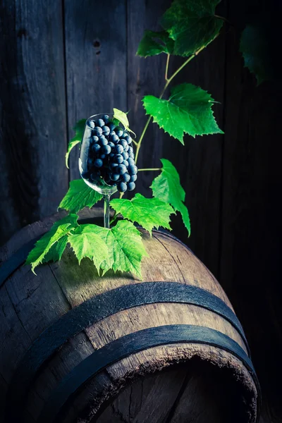 Uve e viti in un bicchiere di vino su una vecchia botte — Foto Stock