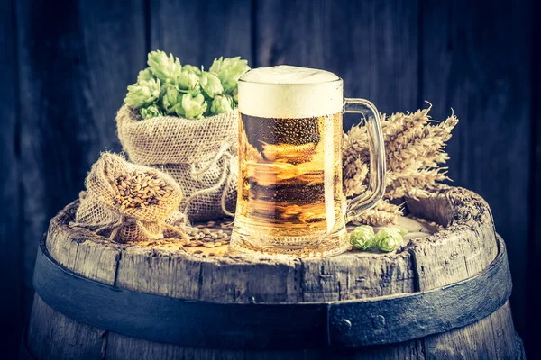 Свежая пинта пива с пеной, пшеницей и хмелем — стоковое фото