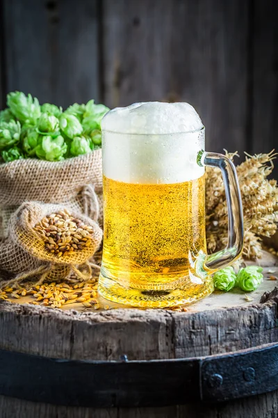 Pinta de cerveza con espuma, lúpulo y trigo — Foto de Stock