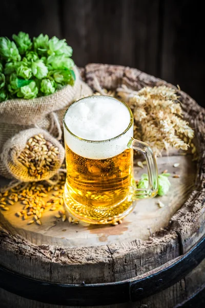 Холодне легке пиво з піною, хмелем і пшеницею — стокове фото