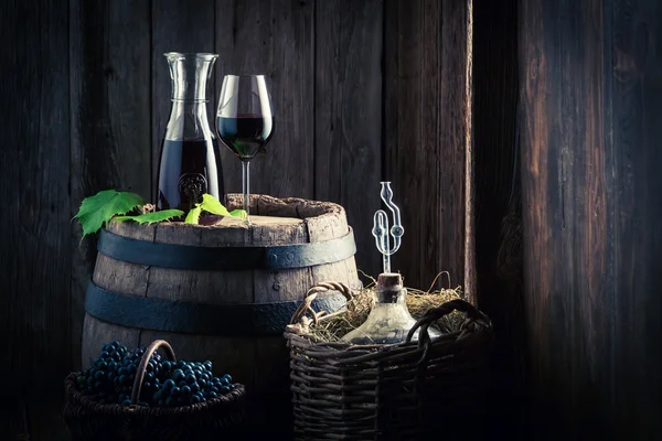 Домашнее красное вино со свежим виноградом — стоковое фото