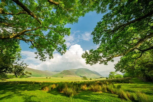 Telaio realizzato da campi e alberi a District Lake, Inghilterra — Foto Stock