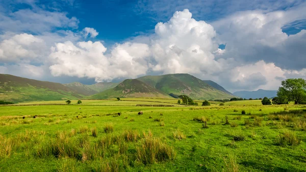 地区湖、イギリスの緑の草原 — ストック写真