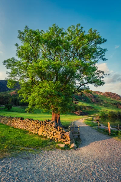 Lake District Gölü, İngiltere'de nefes kesen alacakaranlıkta — Stok fotoğraf