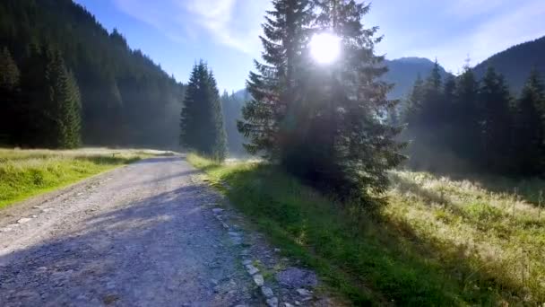 Footpath in the valley Chocholowska at sunrise, Tatra Mountains, Poland — Stock Video