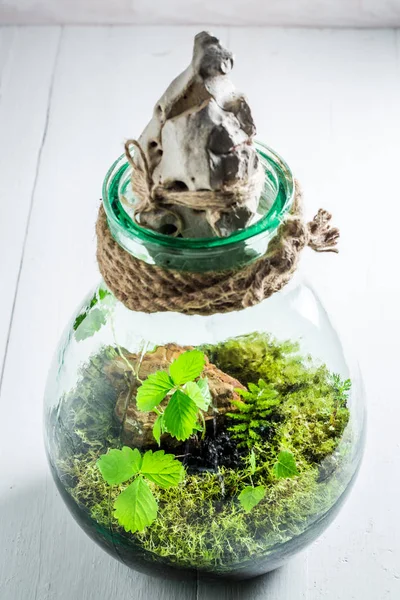 Liten burk med bit av skogen, spara jorden konceptet — Stockfoto