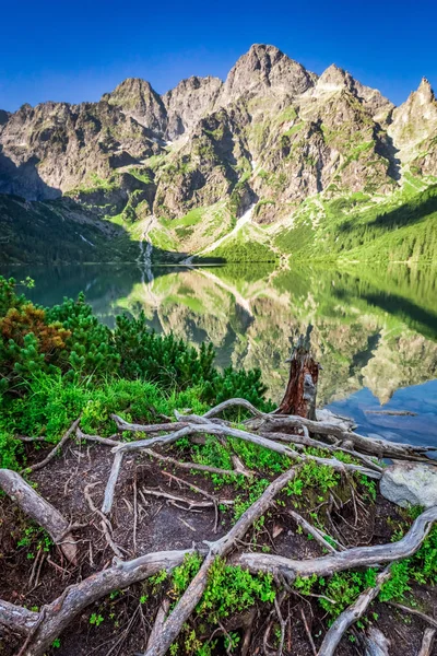 Mooie zonsondergang aan de vijver in het Tatra gebergte in de zomer — Stockfoto