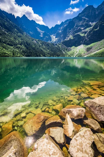 Wunderschöner Teich in den Bergen bei Sonnenaufgang im Sommer — Stockfoto