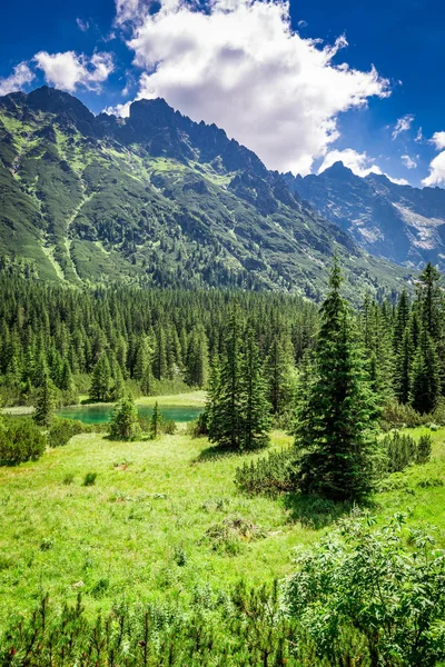 Znakomity mały staw w Tatrach o świcie w lecie — Zdjęcie stockowe