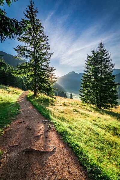 Meravigliosa valle in Tatra Montagne all'alba in estate — Foto Stock