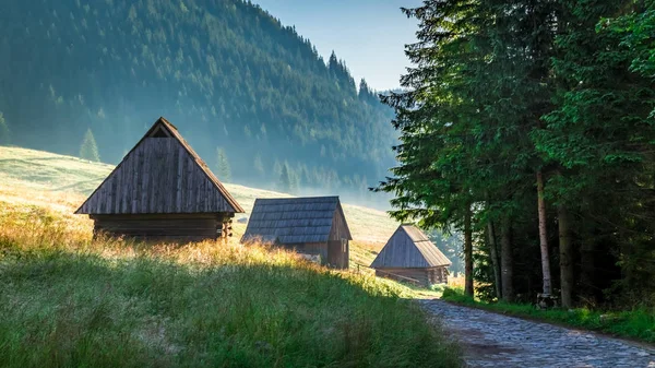 Merveilleux lever de soleil dans la vallée Chocholowska, les montagnes Tatra en Pologne — Photo