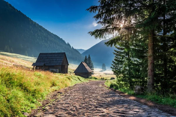 Superbe vallée dans les montagnes Tatra au lever du soleil en Pologne — Photo