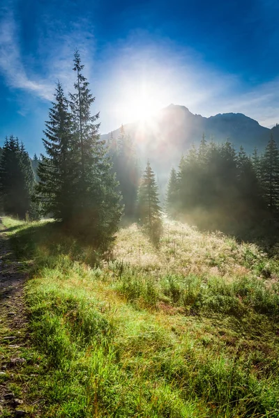 Underbara dal i Tatrabergen i soluppgången i Polen — Stockfoto