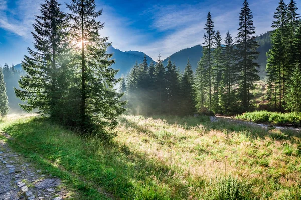 Splendida alba in Valle Chocholowska, Montagne Tatra in estate — Foto Stock
