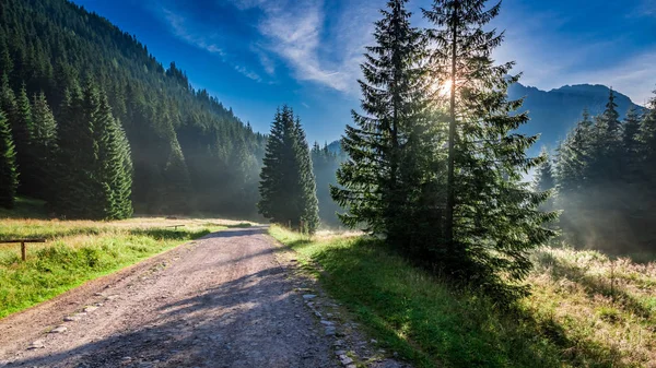 Splendida alba in Valle Chocholowska, Monti Tatra in Polonia — Foto Stock