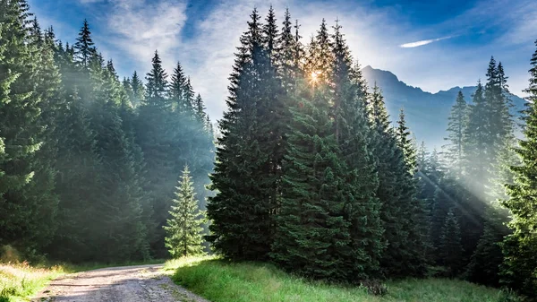 Prachtige dageraad in de vallei Chocholowska, Tatra gebergte in Polen — Stockfoto