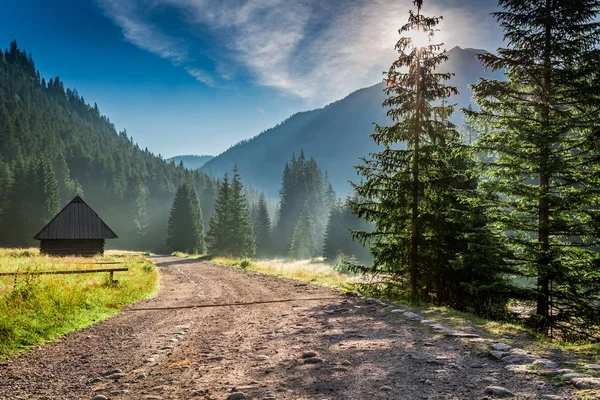 Bella alba in Valle Chocholowska, Montagne Tatra in estate — Foto Stock