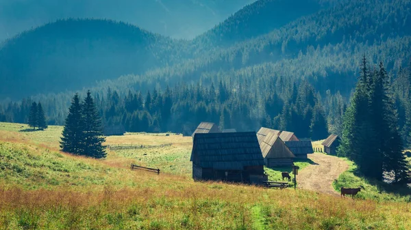 Alba nella valle Chocholowska, Monti Tatra, Polonia — Foto Stock