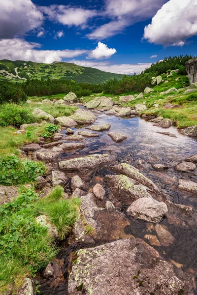 Wandelpad in de Tatra bergen door stroom in de zomer — Stockfoto