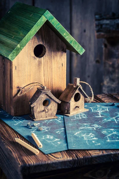 木製ワーク ショップで鳥のかわいい家 — ストック写真