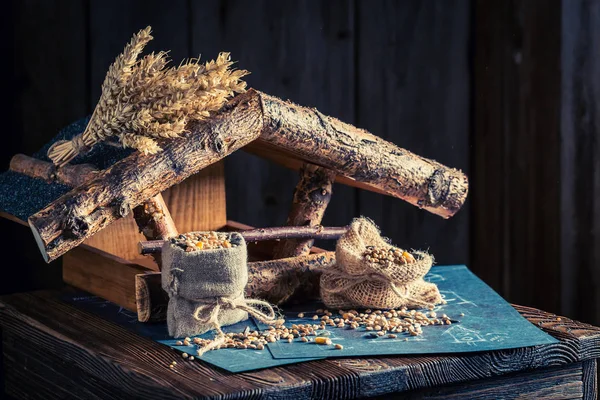 Carino casa per gli uccelli per l'inverno freddo — Foto Stock