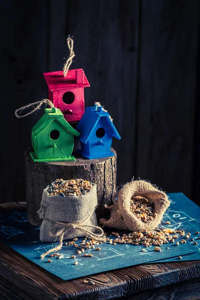 小さな鳥の家とそれを構築する計画のプロジェクト — ストック写真