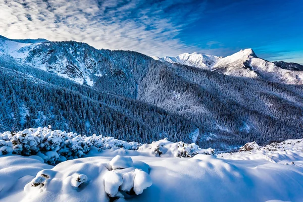 Monte Giewont en Tatra Montañas en invierno — Foto de Stock