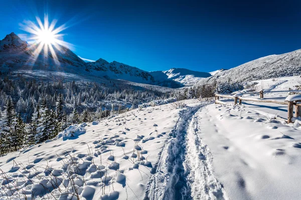 美丽的冷日落在波兰 Tatra 山脉 — 图库照片