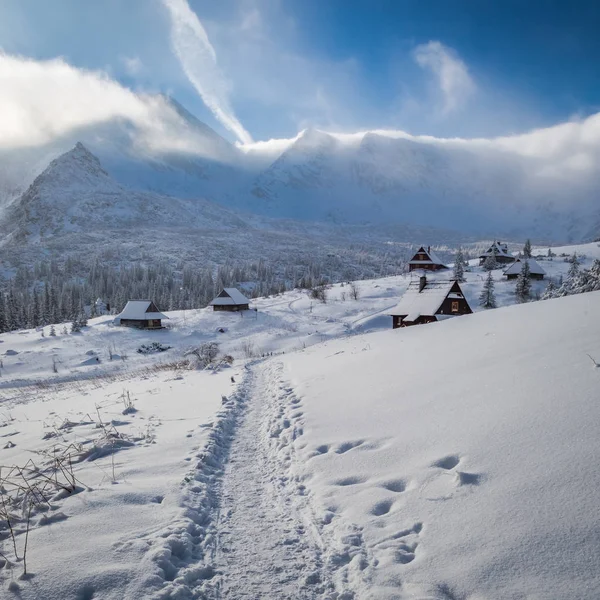 Chemin enneigé vers les montagnes des Tatras en hiver, Pologne — Photo