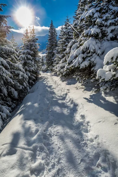 Sentier d'hiver à la vallée gasienicowej par temps ensoleillé, Tatras — Photo