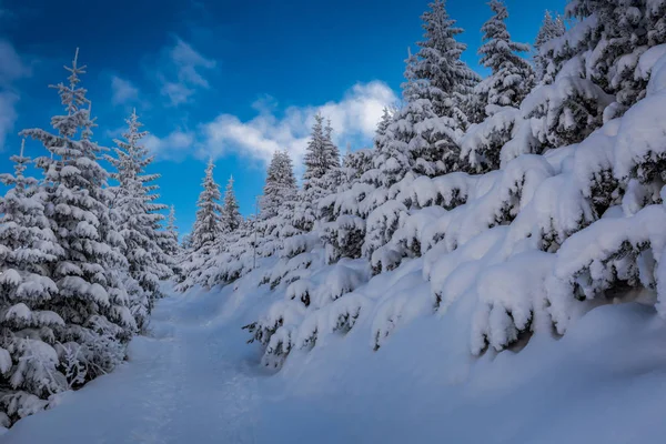 Sendero de montaña de invierno al atardecer en día soleado, Tatras, Polonia — Foto de Stock