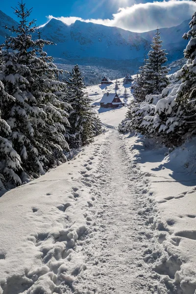 Sendero de invierno a las montañas Tatras al amanecer, Polonia — Foto de Stock