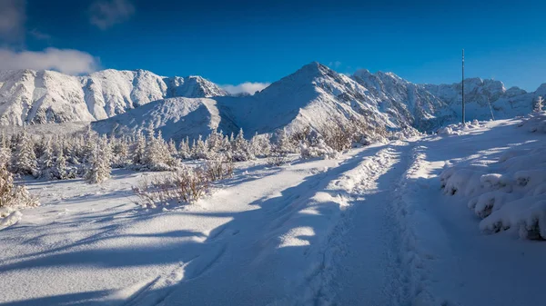 Sentier de montagne enneigé dans les montagnes Tatra en Pologne — Photo