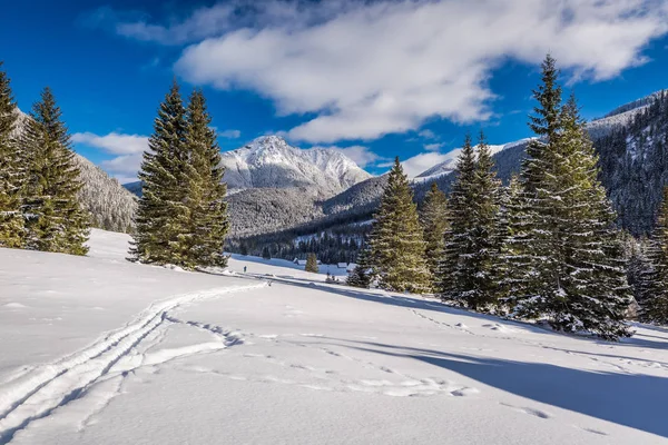 Valle de Chocholowska en día soleado en invierno, montañas de Tatra — Foto de Stock