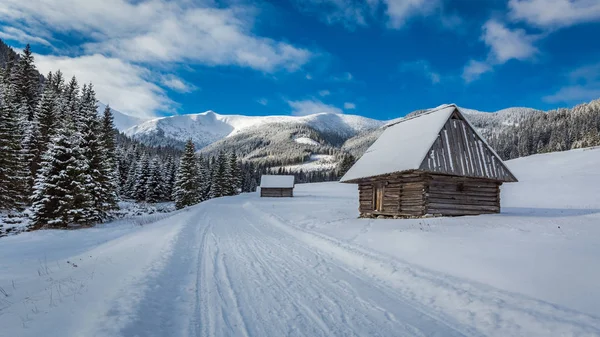 Дерев'яних котеджах та засніжених дороги взимку, гори Татри — стокове фото
