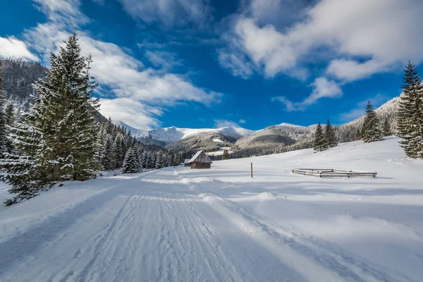 Camino nevado en el valle de Chocholowska en invierno, montañas de Tatra — Foto de Stock