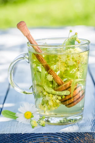 Fresh linden tea with honey in sunny garden — Stock Photo, Image