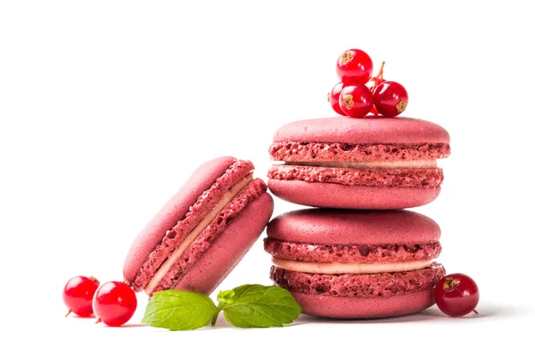 Closeup of tasty macaroons with red currant on white background — Stock Photo, Image