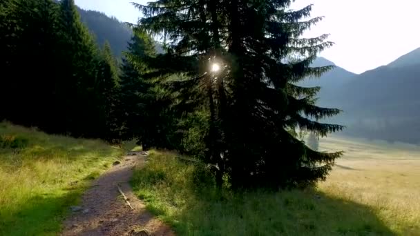 Αυγή στην κοιλάδα Chocholowska, Όρη Τάτρα, Πολωνία — Αρχείο Βίντεο