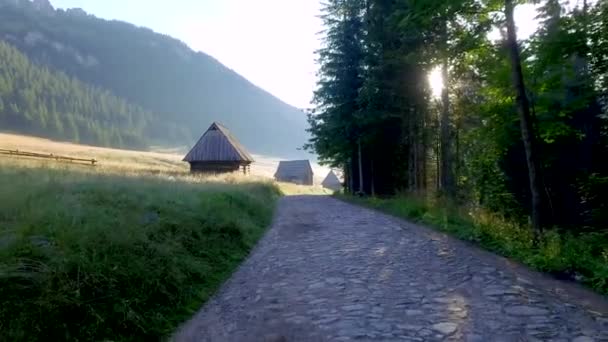 Trilha de montanha entre casas no vale Chocholowska, Montanhas Tatra, Polônia — Vídeo de Stock