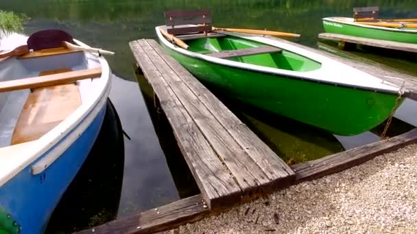 ドイツ、アルプスの日の出山湖 Hintersee — ストック動画