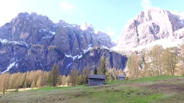 Beautiful mountain valley with crocus in the Dolomites at sunrise, Italy — стоковое видео